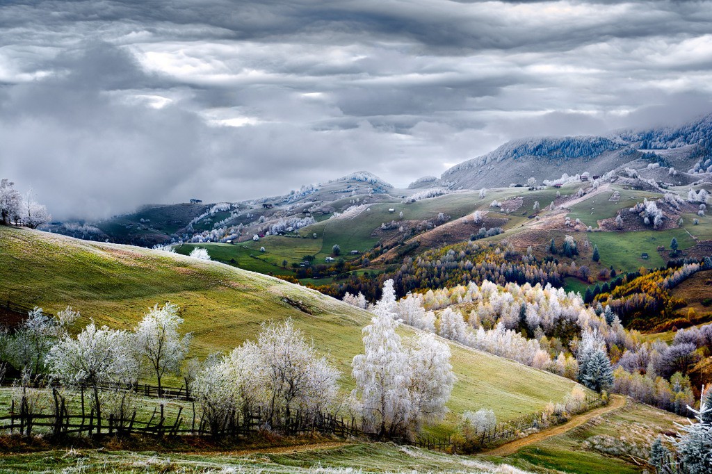 جنگل سفید روستای pestra در رومانی